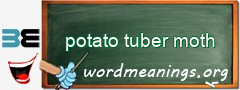 WordMeaning blackboard for potato tuber moth